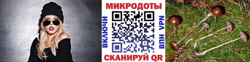 Галлюциногенные грибы MAGIC MUSHROOMS  Батайск 